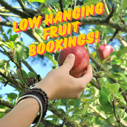 Low Hanging fruit bookings